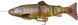 Силикон Savage Gear 4D Line Thru Trout MS 200mm 98.0g #03 Dark Brown Trout 1854.04.59 фото 1
