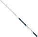 Спиннинг Ever Green Poseidon Spin Jerker Light PSPJ 603L 1.91m 20-70g 1452.15.56 фото 1