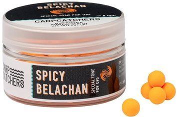 Бойлы Carp Catchers Pop-Up Special Tone Spicy Belachan 8mm 1415.00.53 фото