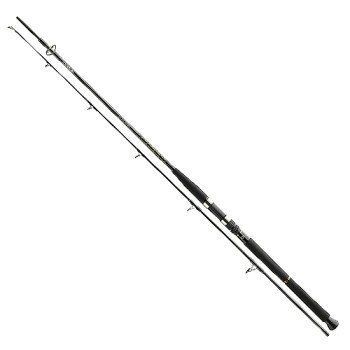 Спінінг Daiwa BG Boat 2.40m 150-400g (11906-246) 11906-246 фото