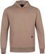 Худі Brain Brown Promo Hoody S Brown 1858.96.29 фото 5