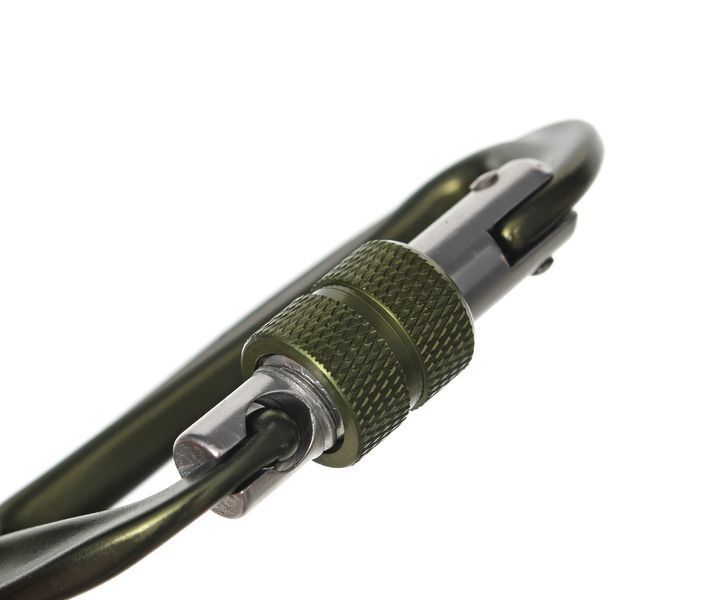Карабін Forrest D-shape Lorck Climbing Carabiner 81x50мм Olive FDLCC-OL фото