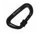 Карабін Forrest D-shape Lorck Climbing Carabiner 81x50мм Black FDLCC-B фото 1