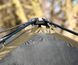 Шатер короповий Carp Pro RAM XD Shelter 3+ Man Two Etrances CPB0219 фото 4