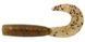 Силикон Daiwa Bait Junkie 2.5" Grub Pearl Gudgeon (20002002) 20002002 фото 4